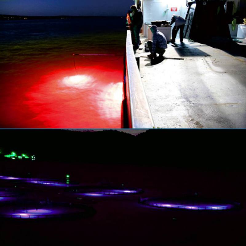 Mini Balıkçılık Cazibe Lambası - Fishing Boat Navigation Light incelemesi ve fiyatı